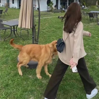 嬉春学堂续集